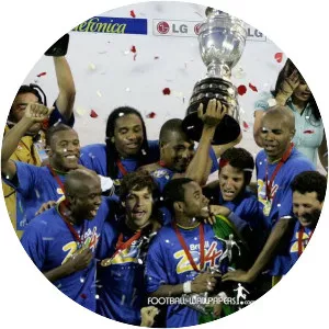 2007 Copa América