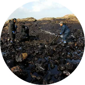 2007 South Korea oil spill - 