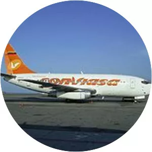 2008 Conviasa Boeing 737 crash