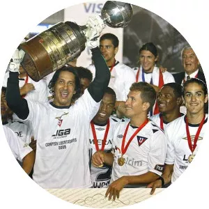 2008 Copa Libertadores - Tournament