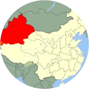 2008 Kashgar attack - 