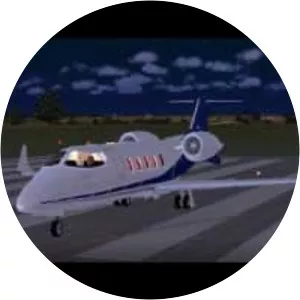 2008 South Carolina Learjet 60 crash