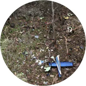 2009 Andhra Pradesh Chief Minister . . .