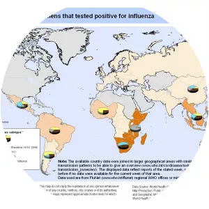 2009 flu pandemic - Influenza pandemic