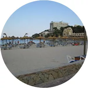 2009 Palma Nova bombing - 