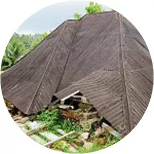 2009 Sumatra earthquakes - 