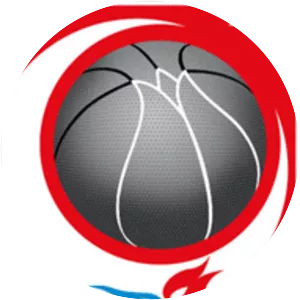 2010 FIBA World Championship - Tournament