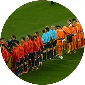 2010 FIFA World Cup Final