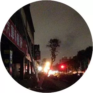 2014 Kaohsiung gas explosions - 