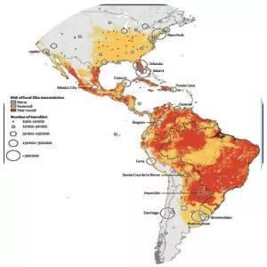 2015–16 Zika virus epidemic - 