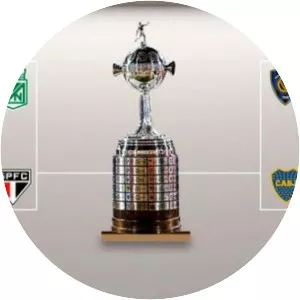 2016 Copa Libertadores - Tournament
