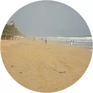 2016 Grand-Bassam shootings - 