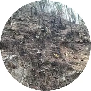 2016 Uttarakhand forest fires