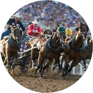 2017 Calgary Stampede