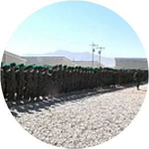 2017 Camp Shaheen attack - 