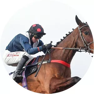 2017 Flat Season Review - TV program