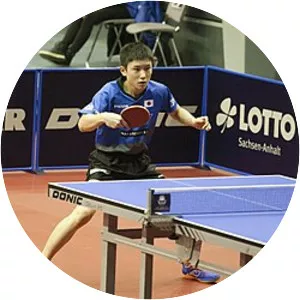 2017 ITTF World Tour