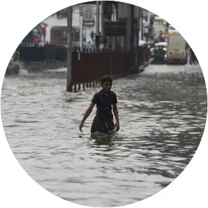 2017 Mumbai flood - 