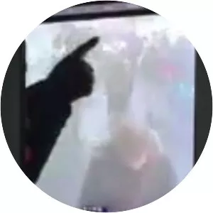 2017 New York City attempted bombing