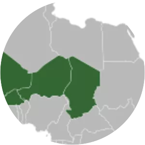 2017 Ouagadougou attack - 