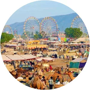 2017 Pushkar Fair