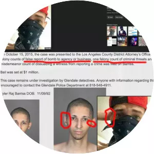 2017 Wichita swatting