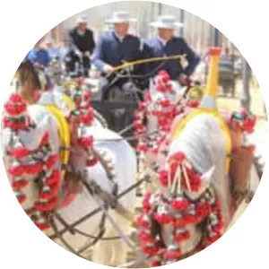 2018 Feria de Jerez (Feria del Caballo 2018)