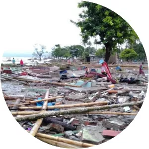2018 Sunda Strait tsunami - 