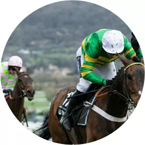 2019/20: Reviews of the Jumps SeasonSince 2020 - TV program