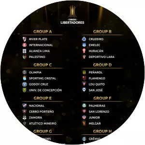 2019 Copa Libertadores - Tournament