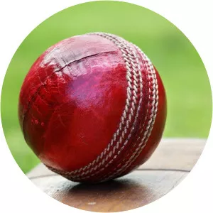 2019 Cricket World Cup HighlightsSince 2019