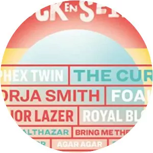 2019 Rock en Seine - Music Festival