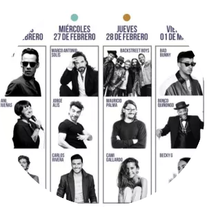 2019 Viña del Mar International Song Festival