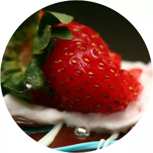 20 Songs Better Than Cake! - TV program