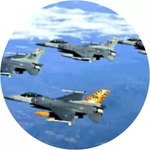 20th Fighter Wing