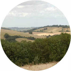 وادي إلهام - 