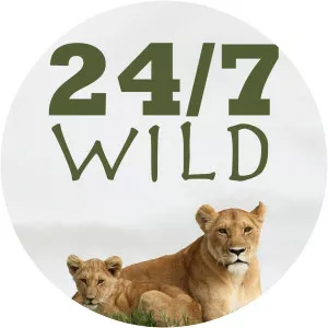 24/7 Wild - TV program