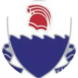 299th Cavalry Regiment