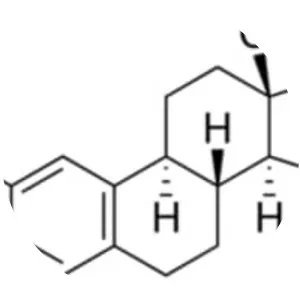 2-Hydroxyestradiol - Chemical compound