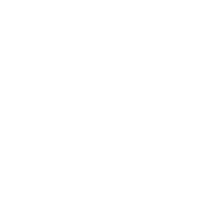 2nd New Zealand Division