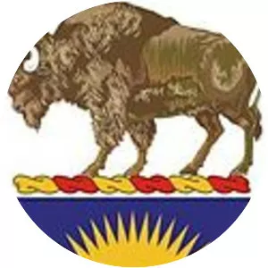 300th Field Artillery Regiment