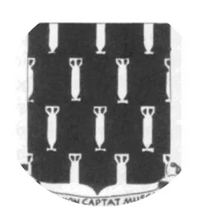 304th Bombardment Group