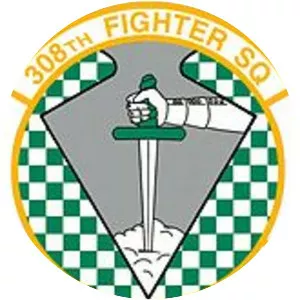 308th Fighter Squadron