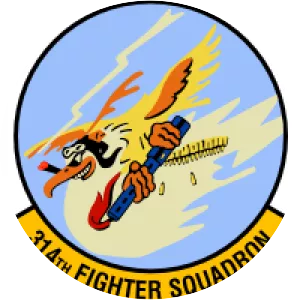 314th Fighter Squadron