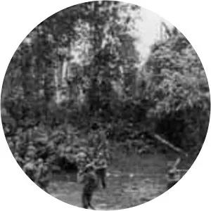 32nd Infantry Division - Army unit