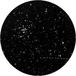 (33342) 1998 WT24 - Asteroid