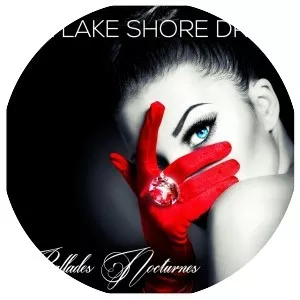 351 Lake Shore Drive - Musical group