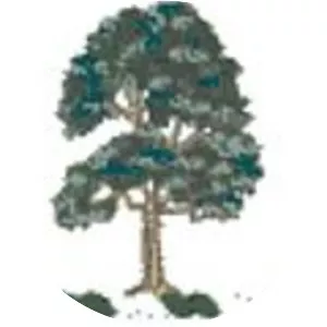 35th Infantry Regiment