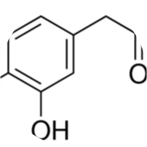3,4-Dihydroxyphenylacetic acid - 