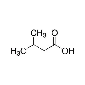 3-Methylbutanoic acid - Chemical compound